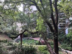 -香港大学