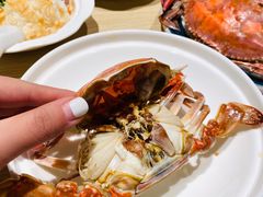 东沟大飞蟹-小船渔村•大连菜•大连焖鱼(黄河路店)
