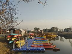 -嘉北郊野公园