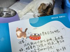 -美联众合动物医院·24h转诊中心