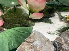 -赣悦轩·四季小馆