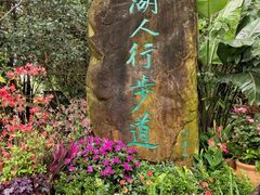 -深圳仙湖植物园