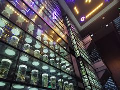 -广东中医药博物馆