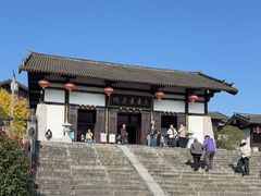 -大唐贡茶院