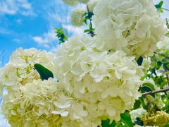 -大龙山(地铁站)