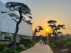 -罗红摄影艺术馆