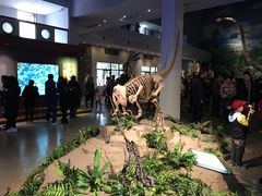 -自贡恐龙博物馆