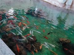 -北戴河圣蓝海洋公园