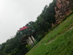 -哈尔滨北方森林动物园