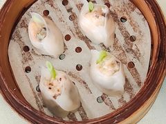 -南海渔村·空中一号