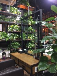 -UPTOP鼎上造型