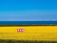 -青海湖国家重点风景名胜区