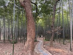 -虞山风景区