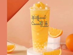 -蜜雪冰城(观音桥步行街店)