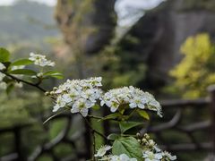 -十九峰景区-倒脱靴