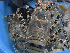 -班赞海鲜市场