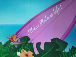 -呼拉汇舞蹈生活馆 Hawaii Hula&Tahiti Dance Studio