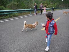 -重庆云阳龙缸景区