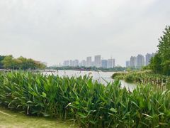 -滨湖塘西河公园