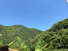 -午潮山国家森林公园