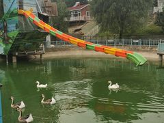 -北京鹿世界主题园