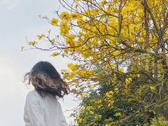 -南国桃园旅游度假区