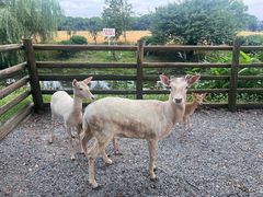 -苏州太湖西山岛开心农场