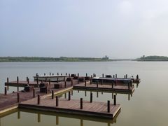 -西青郊野公园