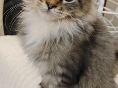 -宁波杉井奥特莱斯广场