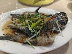 -百年银屏蚝烙·潮汕菜·非遗(乐山店)
