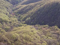 -吉林市朱雀山国家森林公园