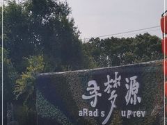 -上海杨姆庄园