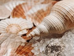 -Oyster Talks 四度蚝法餐厅