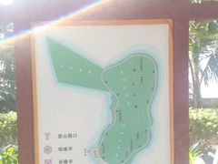 -野狸岛