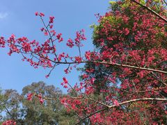 -广州市白云山风景名胜区