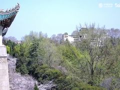 -武汉大学-樱园