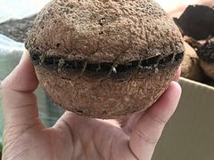 -宁波国际会展中心