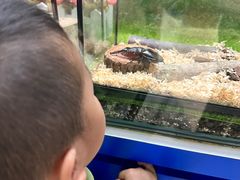 -上海昆虫博物馆