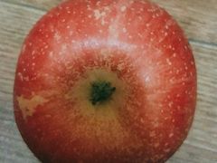 -乐乐鲜果水果超市(河北店)