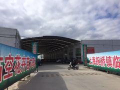 -龙大花卉苗木市场