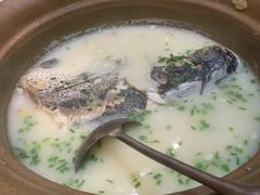 天目湖鱼头-海江5号