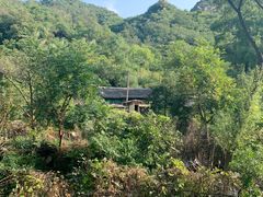 -大岭沟猕猴桃谷风景区