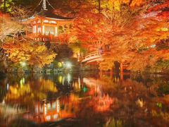 -醍醐寺