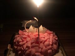-BLACKSWAN黑天鹅(环球店)