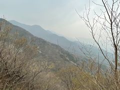 -北京鹫峰国家森林公园