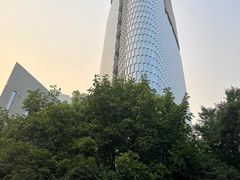 -紫峰大厦