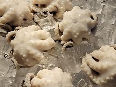 -铭聚章鱼土笋冻(松柏店)