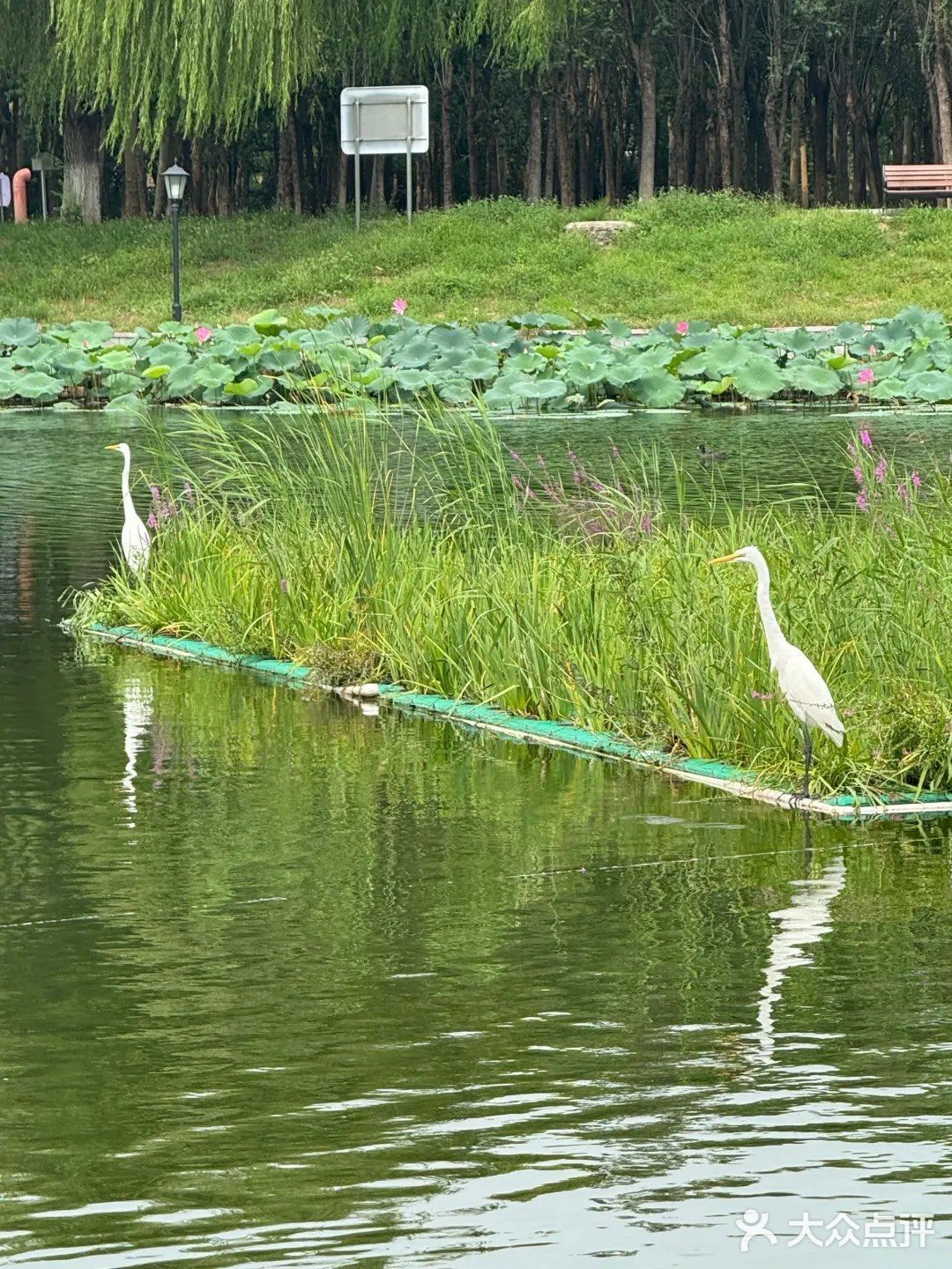 🔥北京罗马湖旁的宝藏烤肉店——元喜地摊烤肉🍖