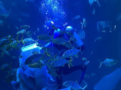 -太平洋海底世界