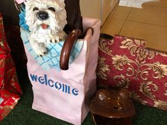 -ventus spa 沙巴亚庇正宗精油按摩会所